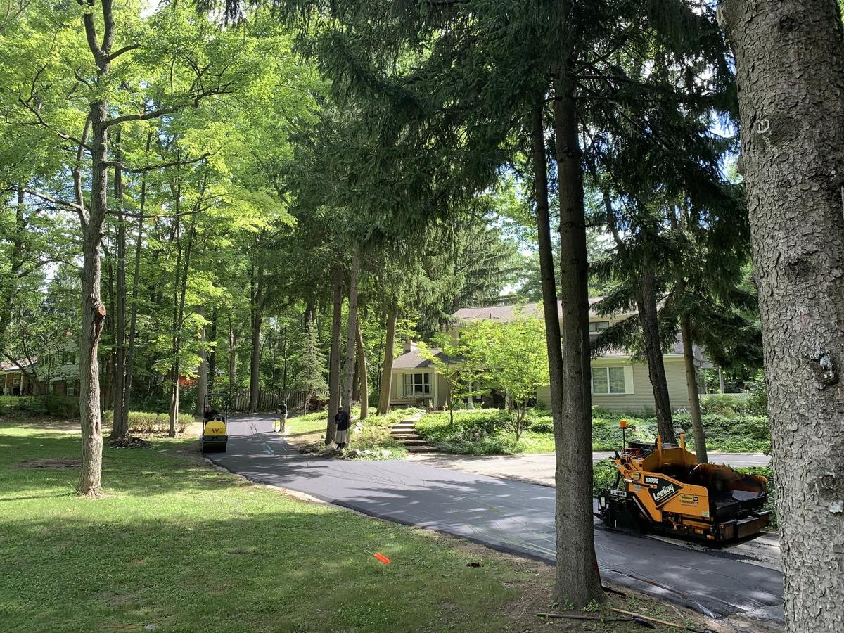 Long tree-lined asphalt driveway